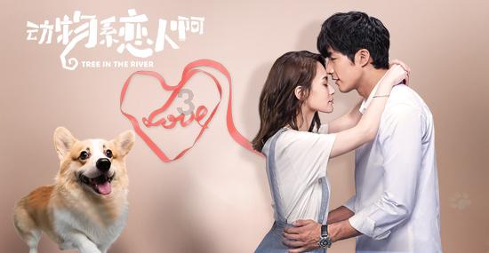起名知识第21讲，名字五行的相生相克顺序，力量大小有什么不同！